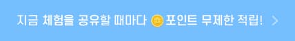 포인트 적립 안내