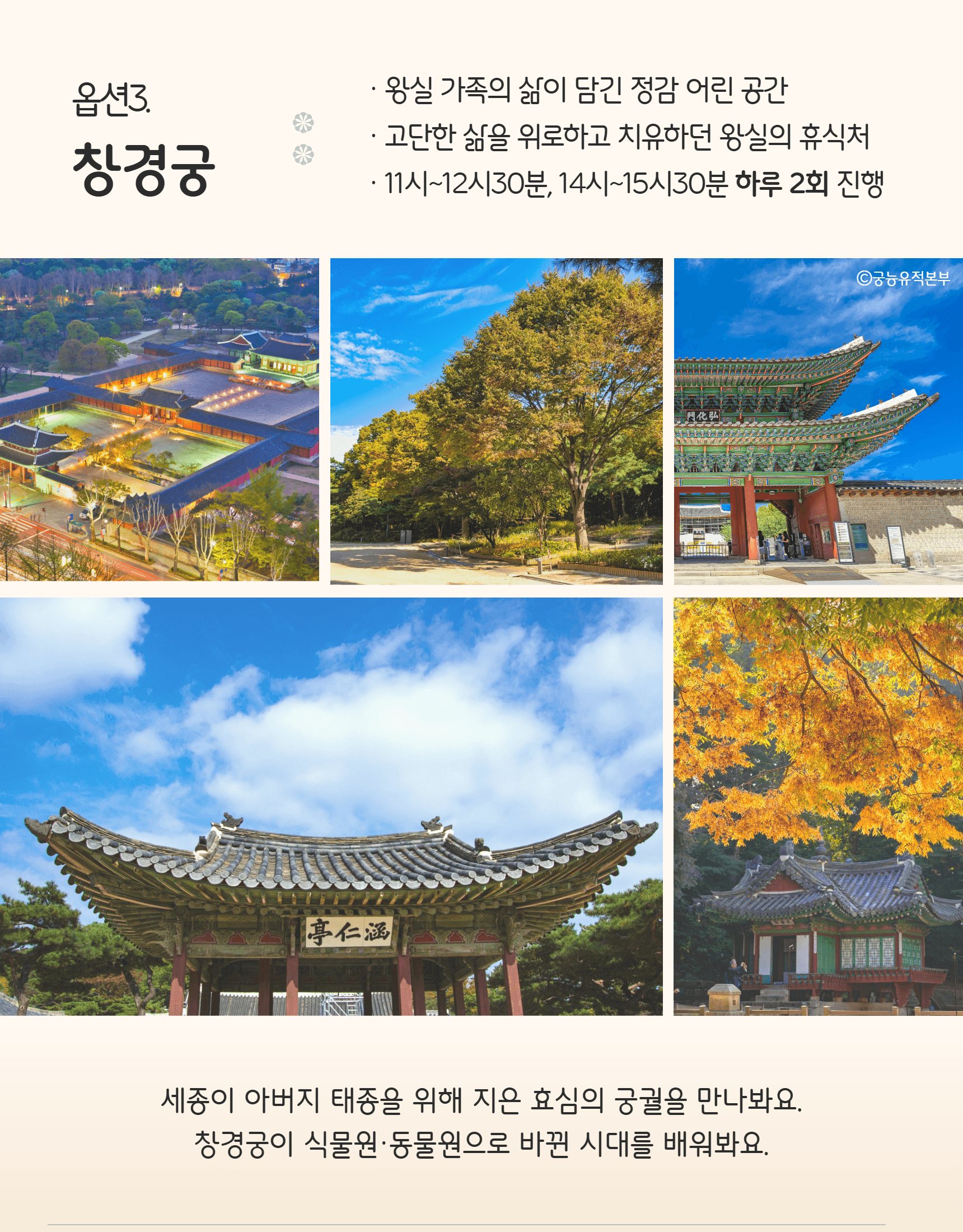 상세 이미지 5
