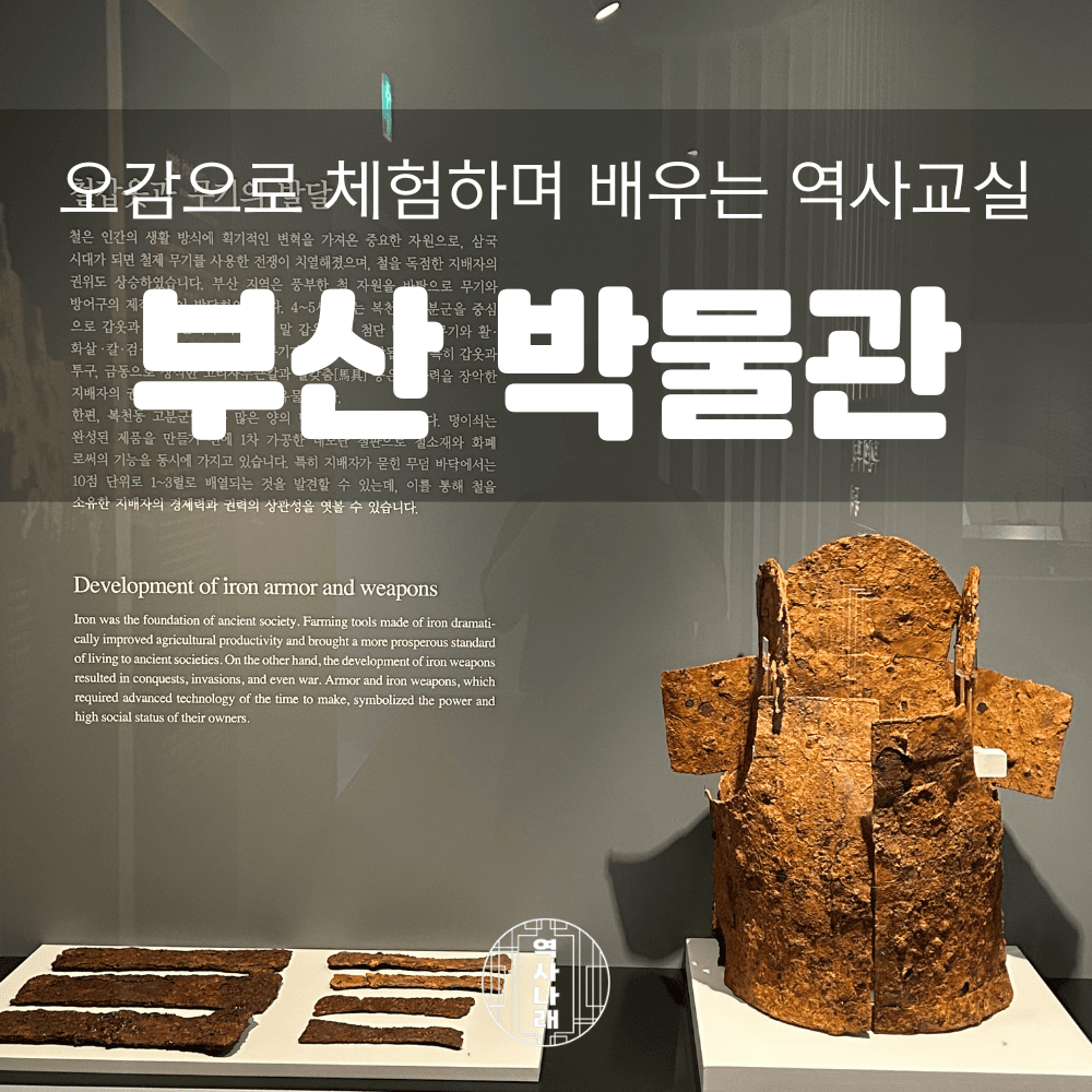 체험 이미지 1