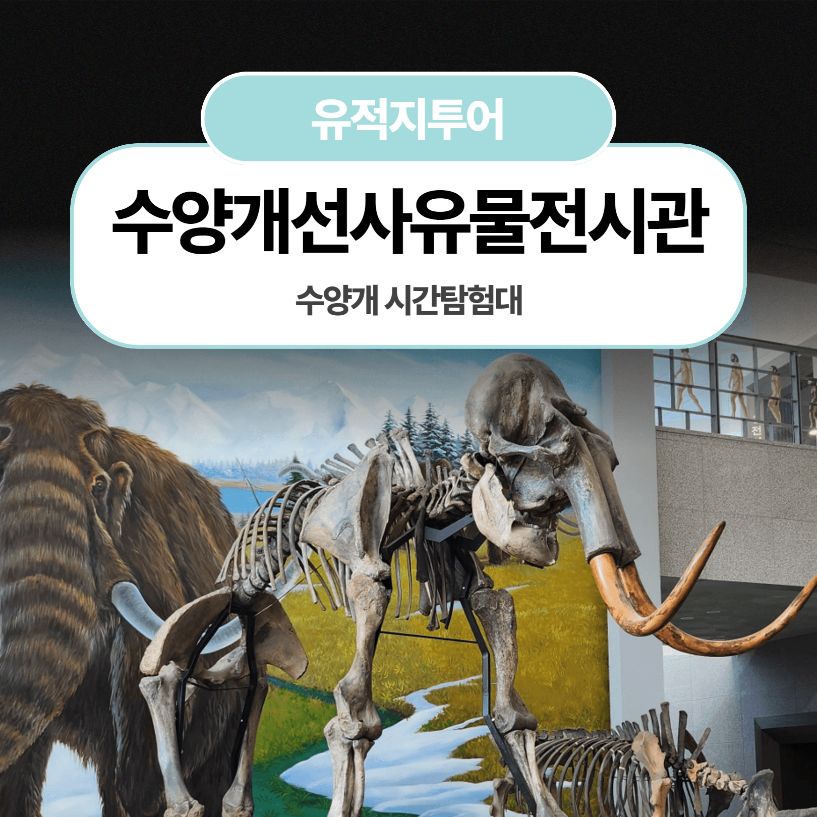 체험 이미지 1