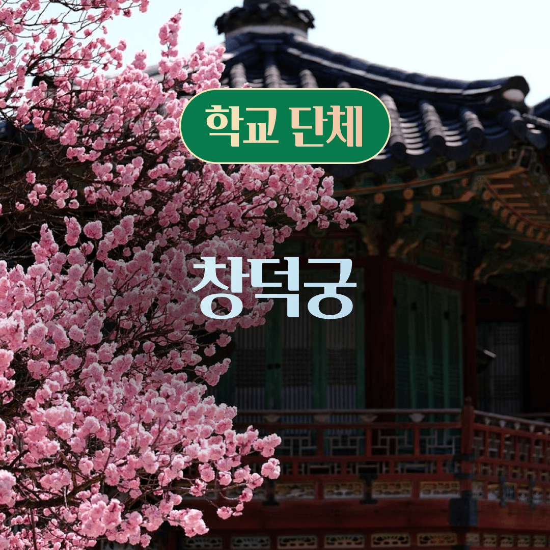 체험 이미지 1