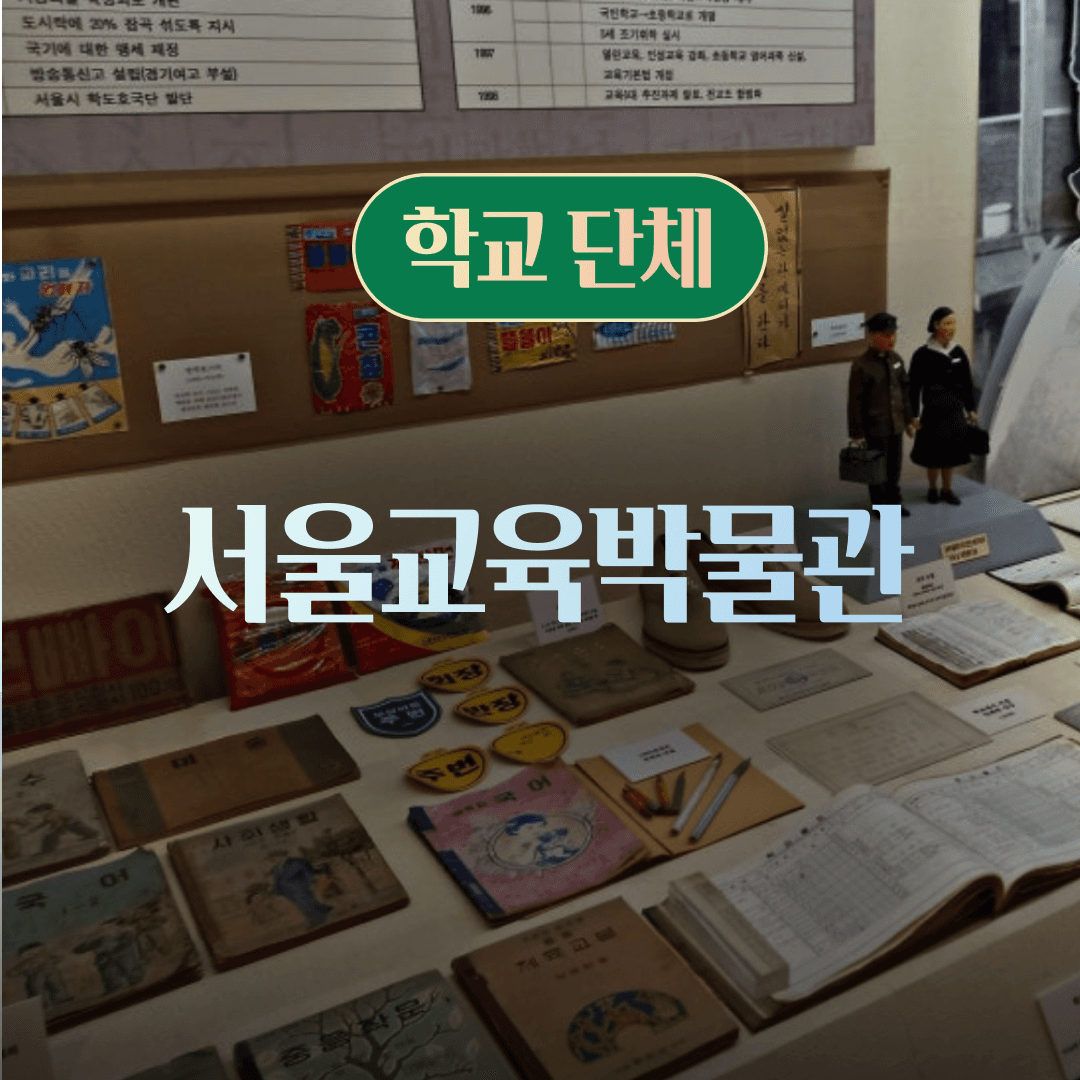 체험 이미지 1