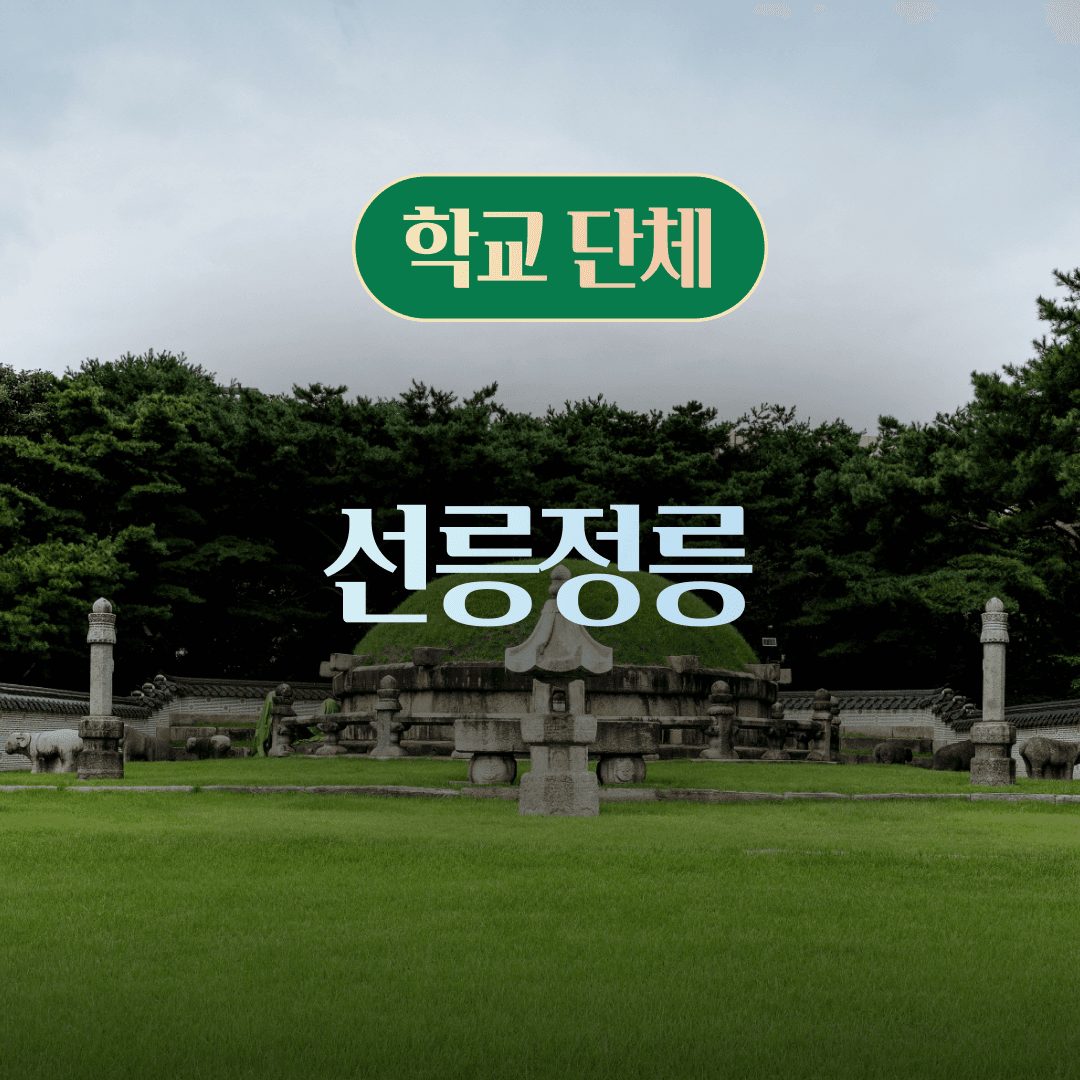 체험 이미지 1