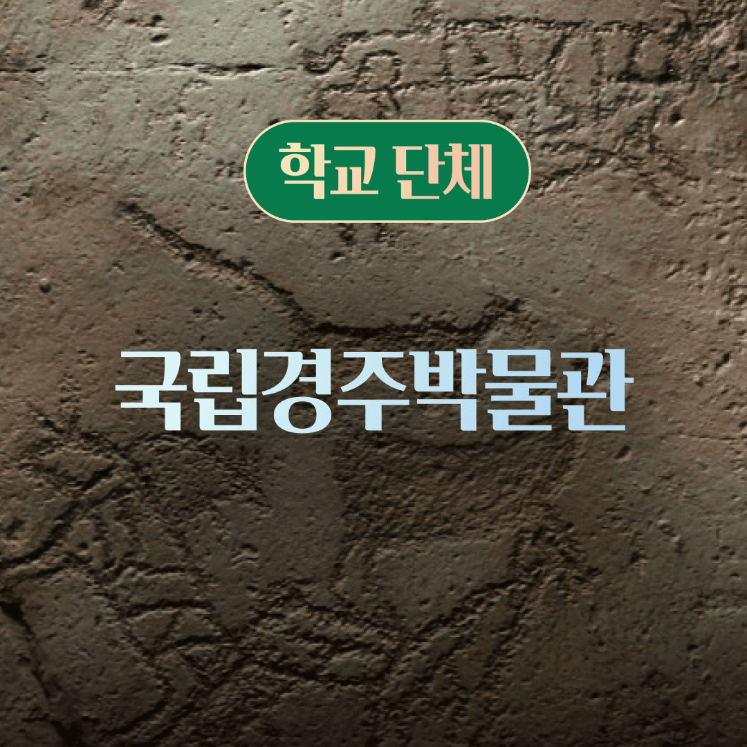 체험 이미지 1