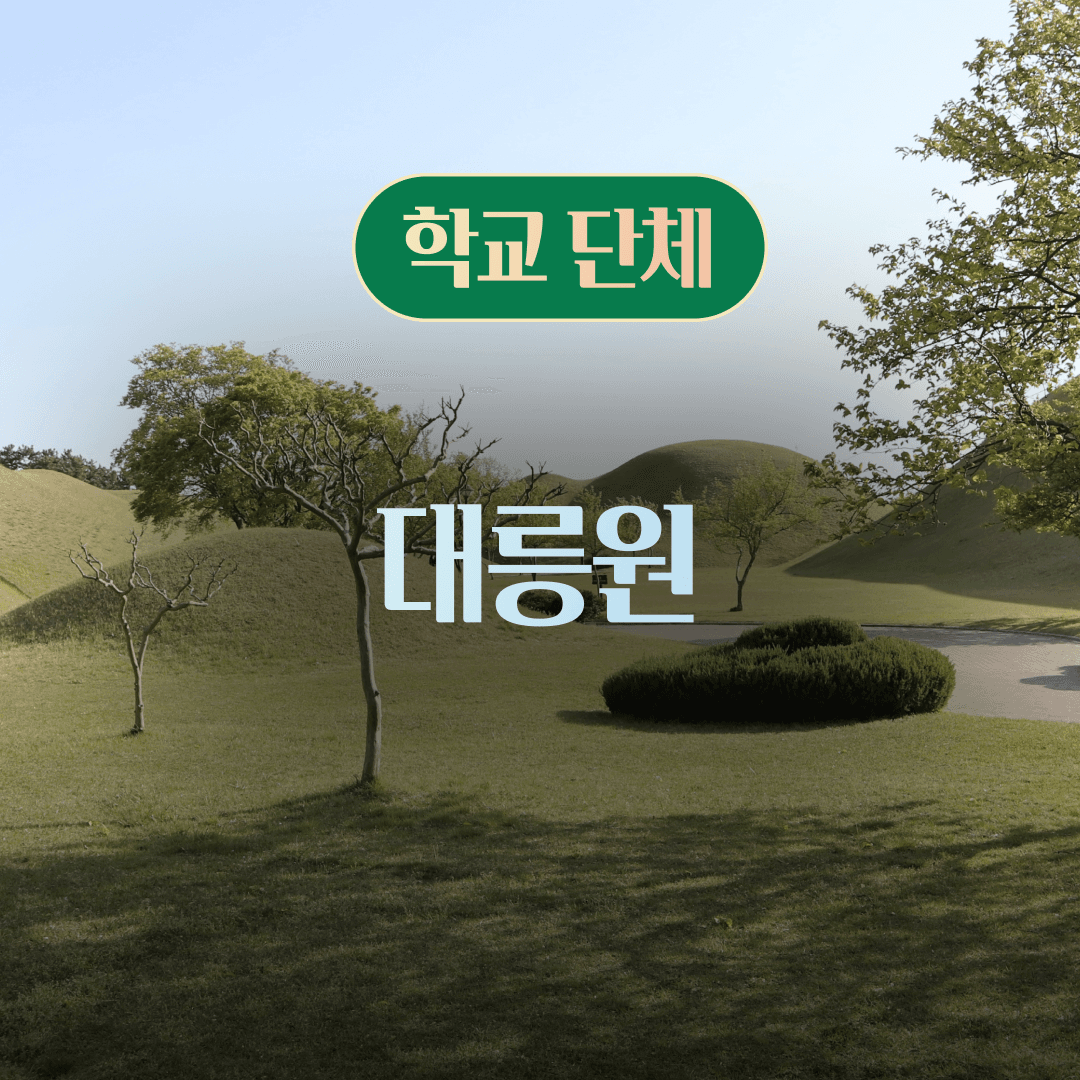 체험 이미지 1