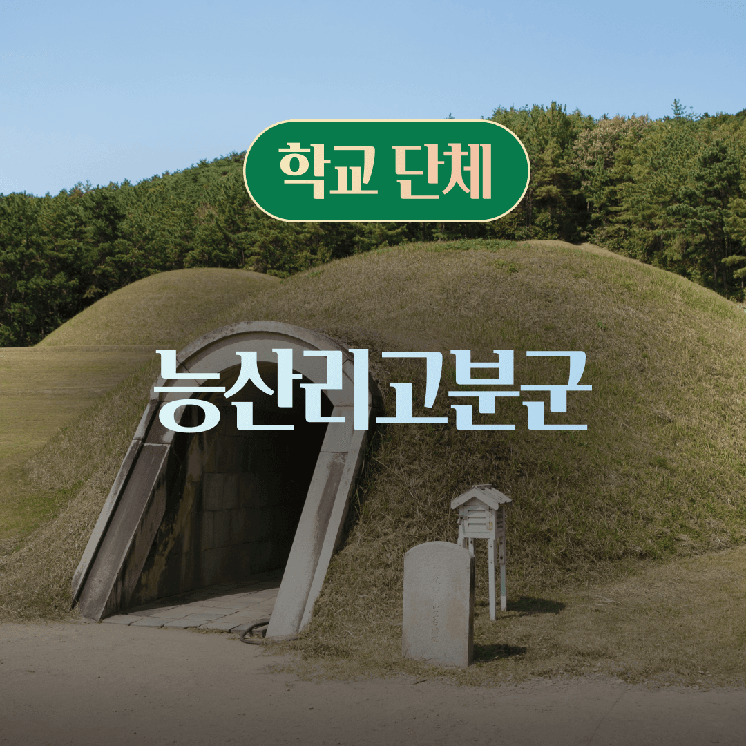 체험 이미지 1