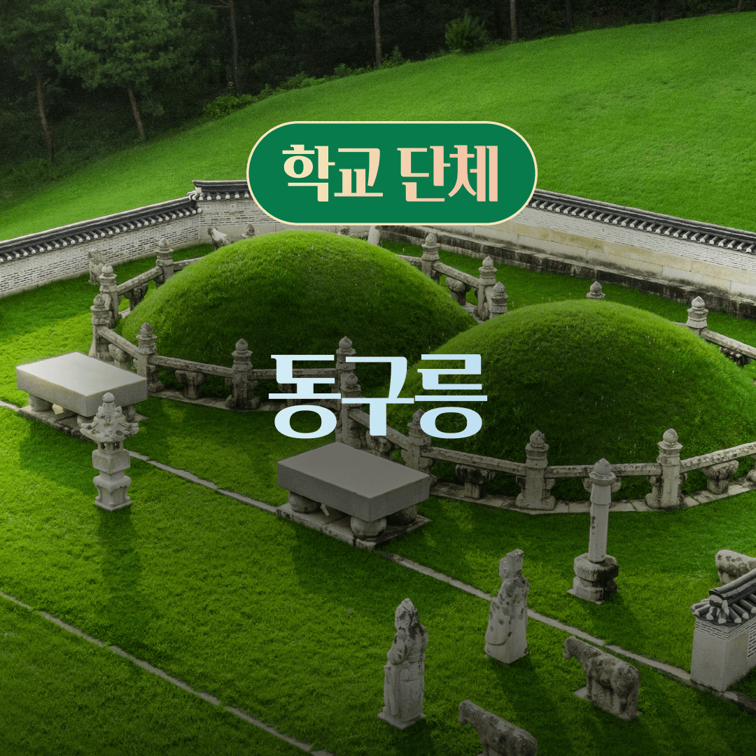 체험 이미지 1