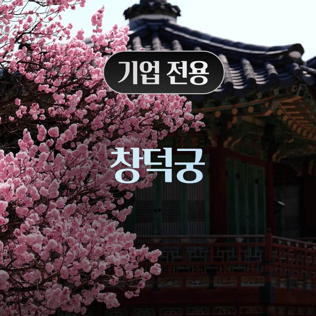 체험 이미지 1
