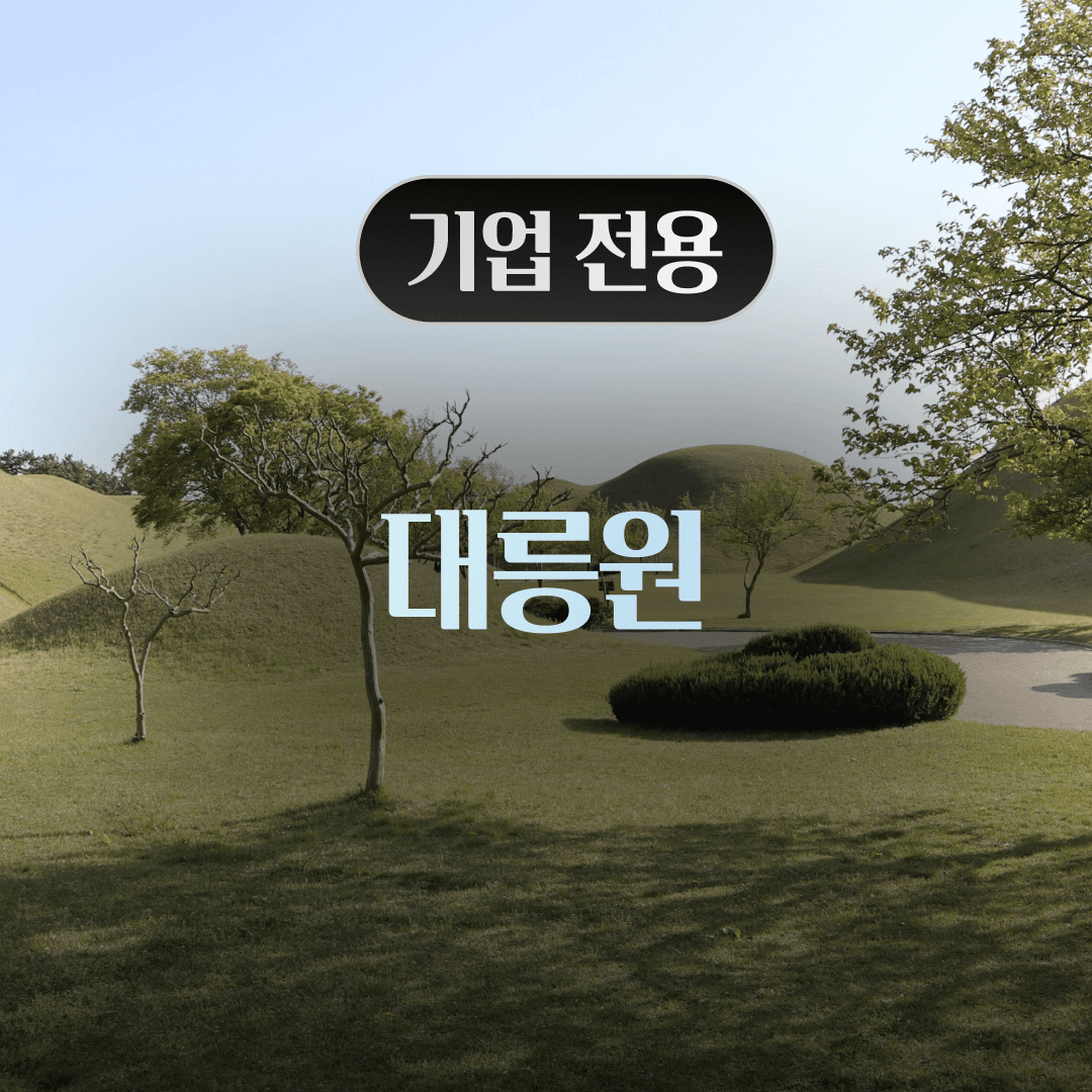 체험 이미지 1