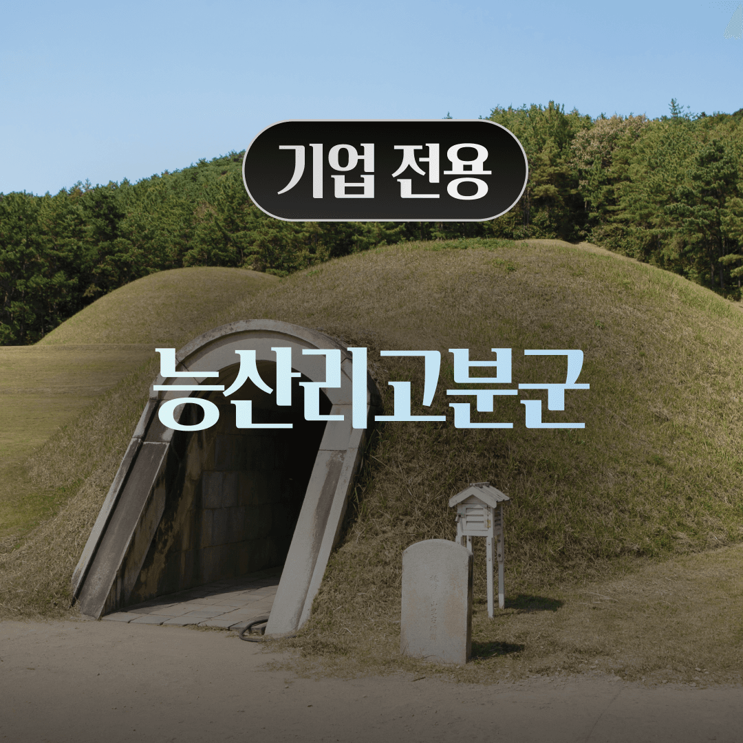 체험 이미지 1