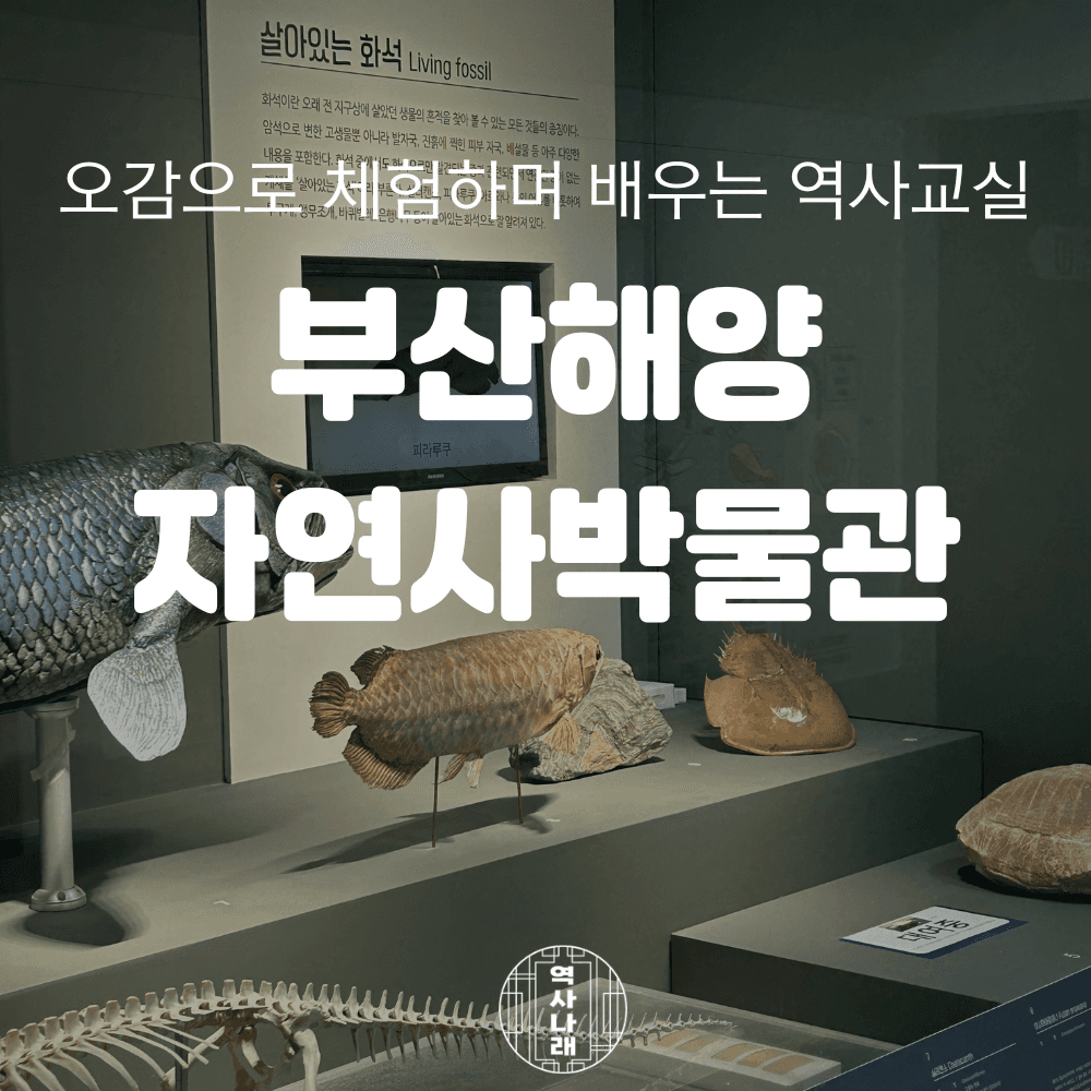 체험 이미지 1