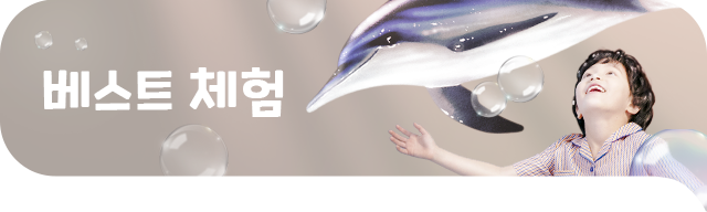 베스트 체험
