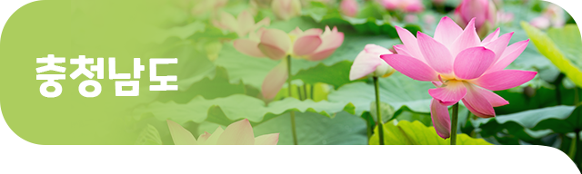 충청남도 배너