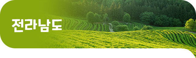 전라남도 배너