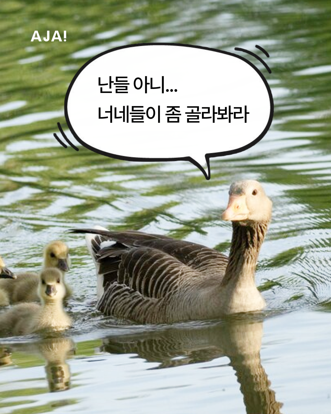 img_67bb489edf31c.png