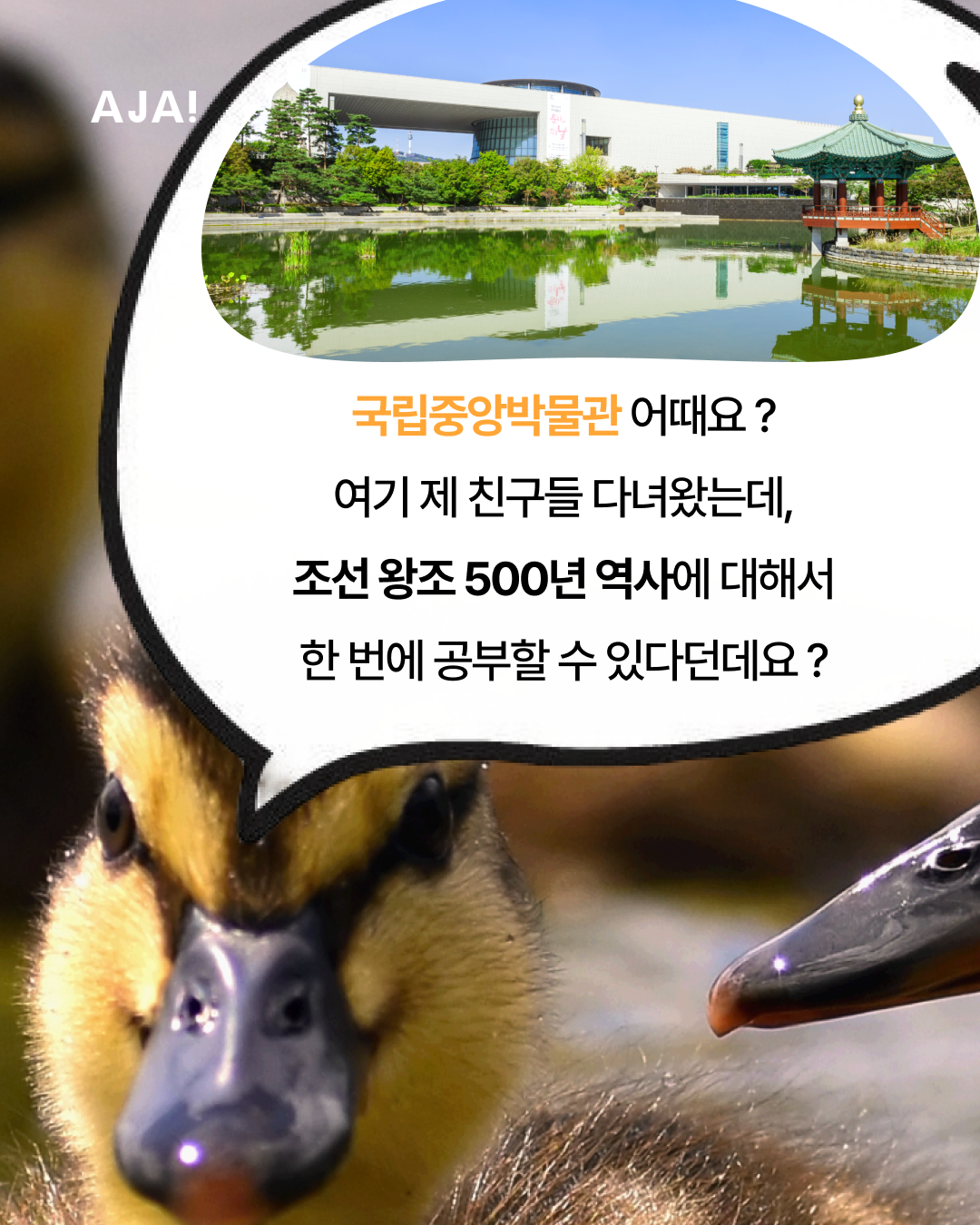 img_67bb489edf3ad.png