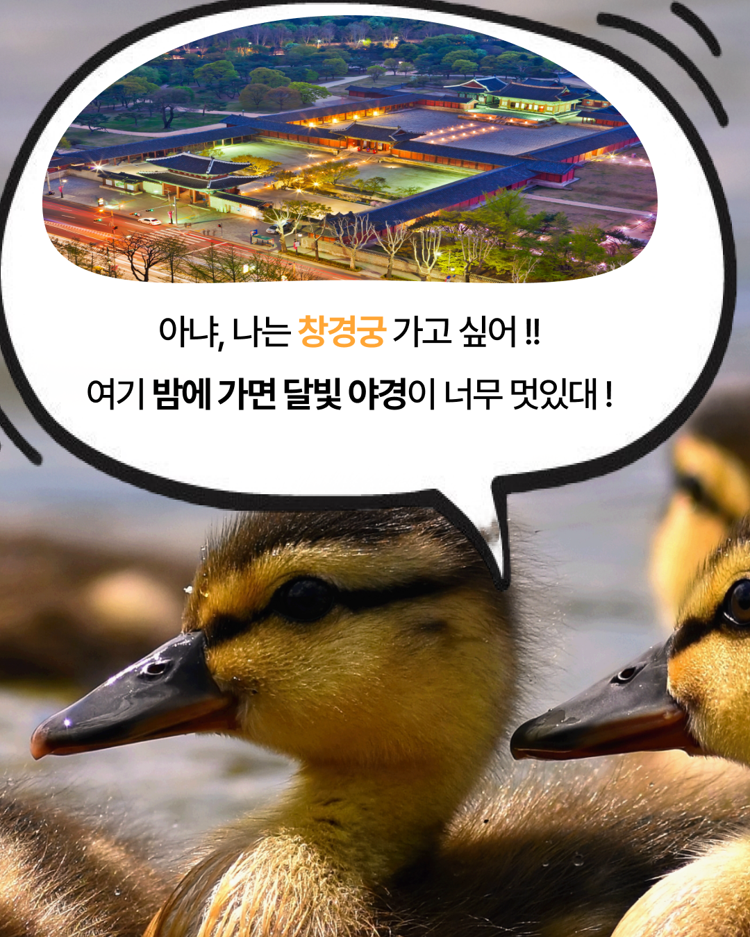 img_67bb489edf413.png