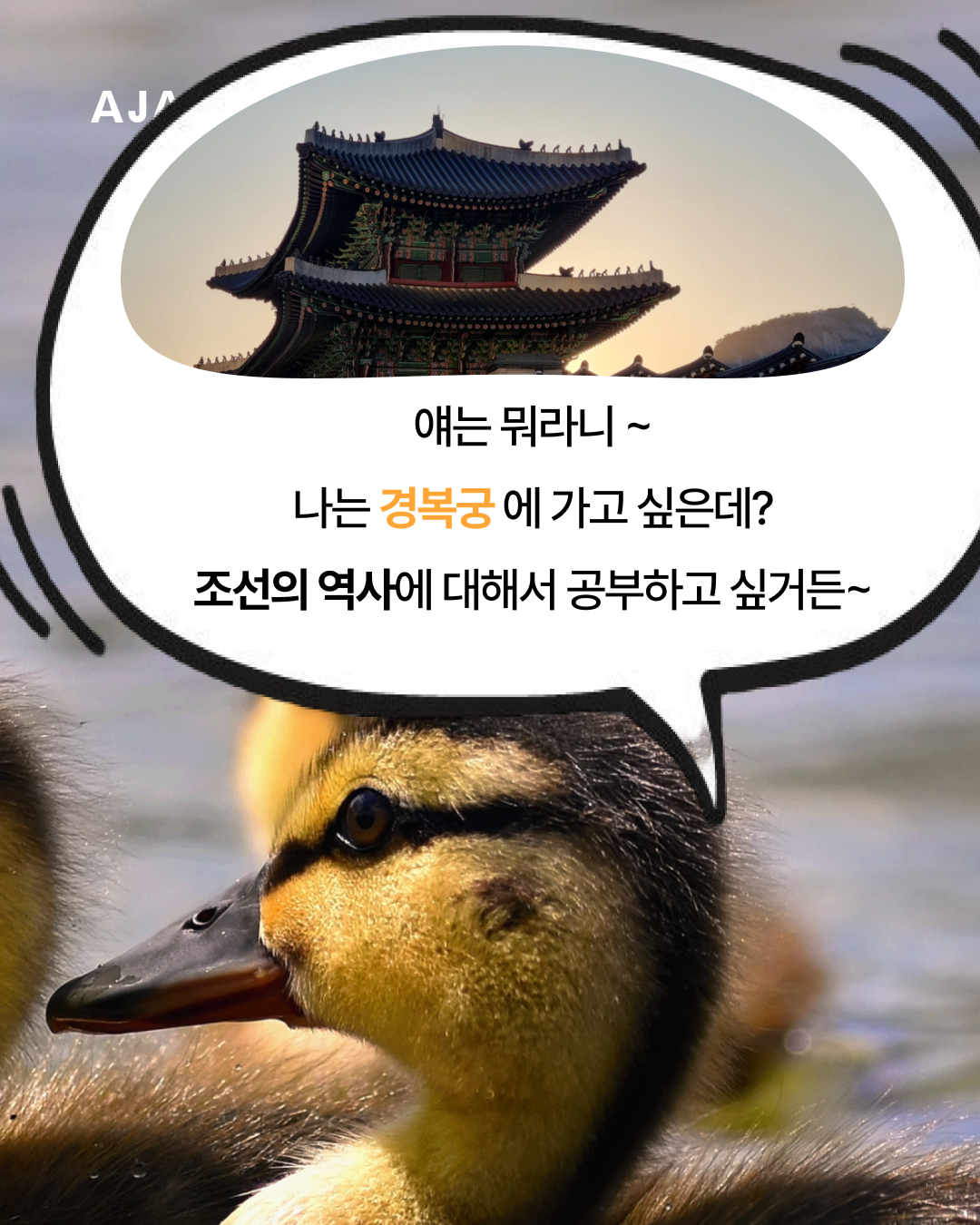img_67bb489edf474.png