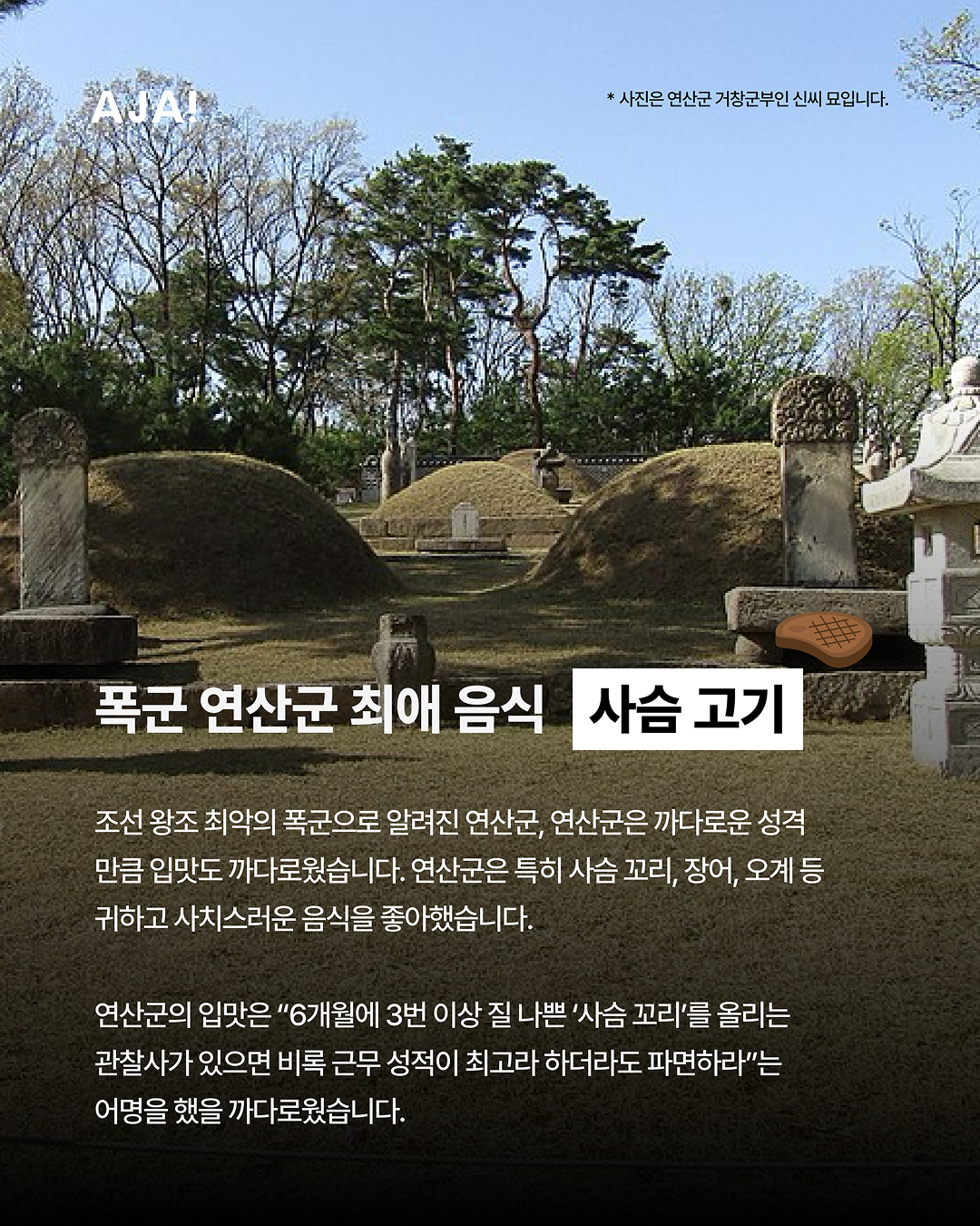 img_67bb4aa8d586d.png